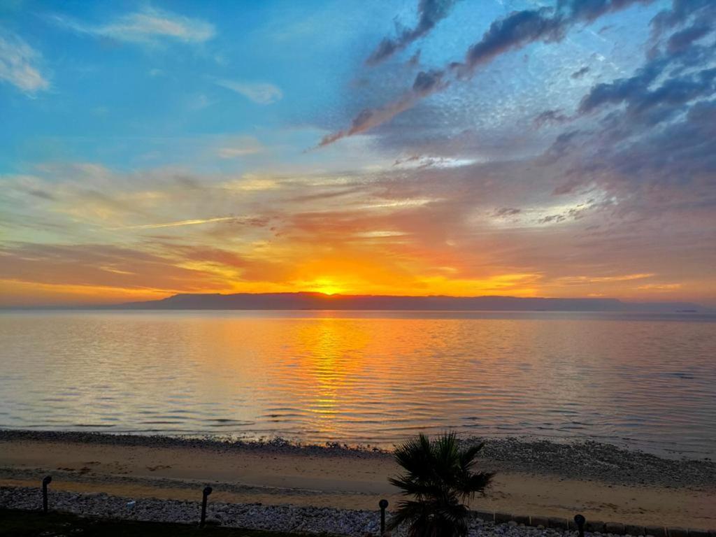 Palm Beach Safari Egypt Ras Sedr Εξωτερικό φωτογραφία